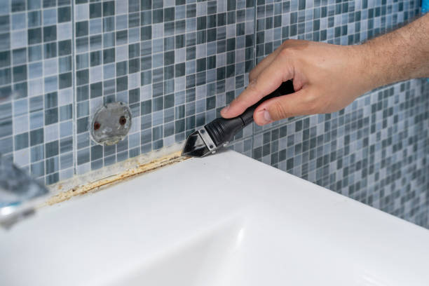 Best Mold Testing  in Westfield, IN