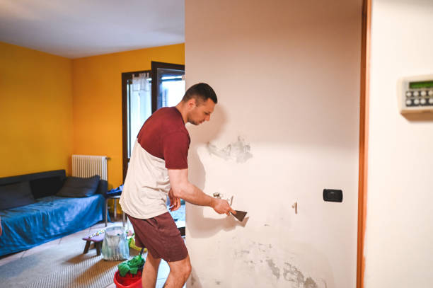 Office Mold Removal Services in Westfield, IN